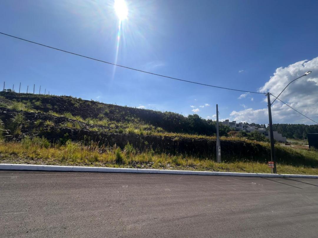 Banner Página