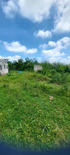 Terreno à venda no bairro São Luiz, Sapiranga, Referencia: 223