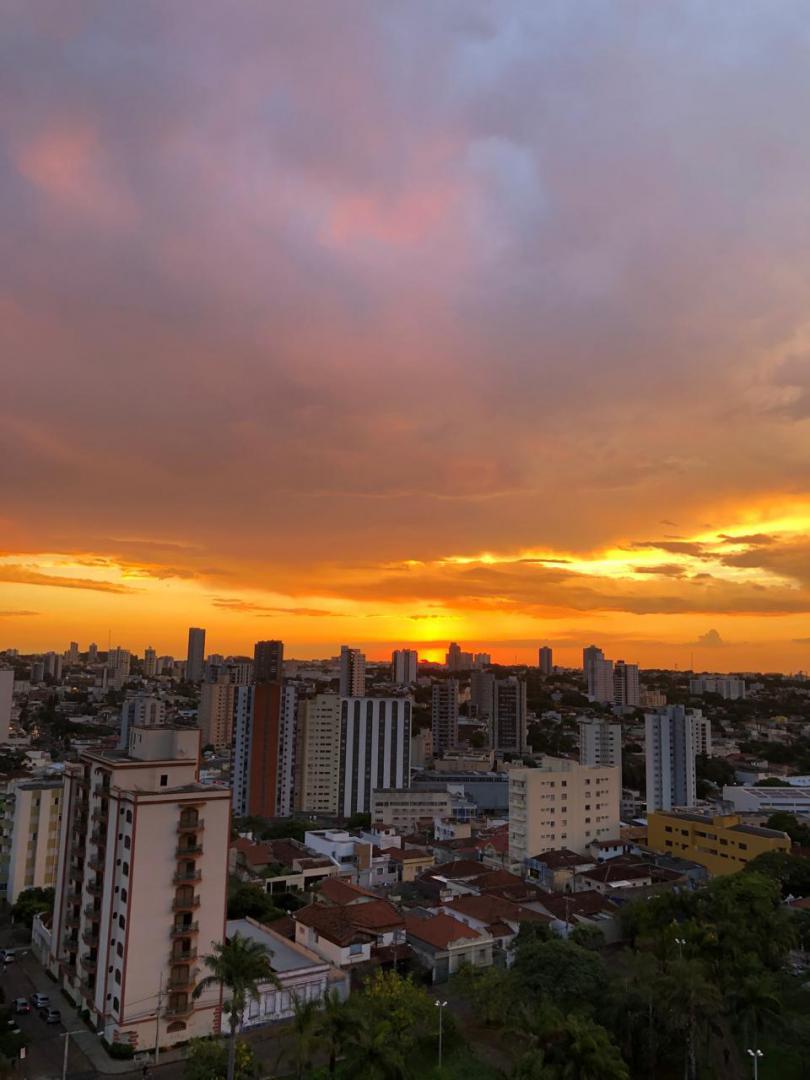 Banner Página