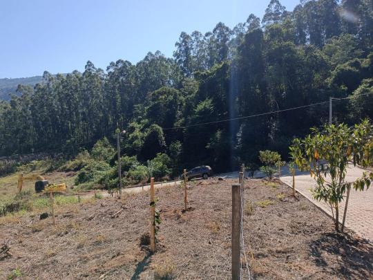 Terreno à venda no bairro Kaffe Eck, Picada Café, Referencia: 420