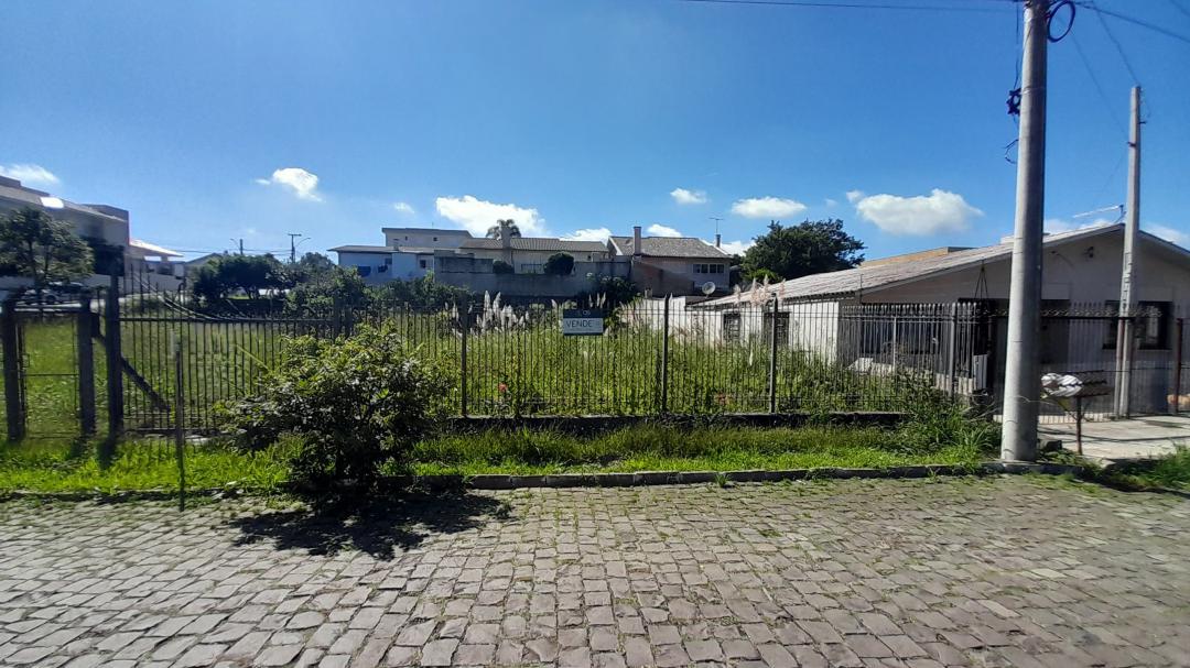 Banner Página