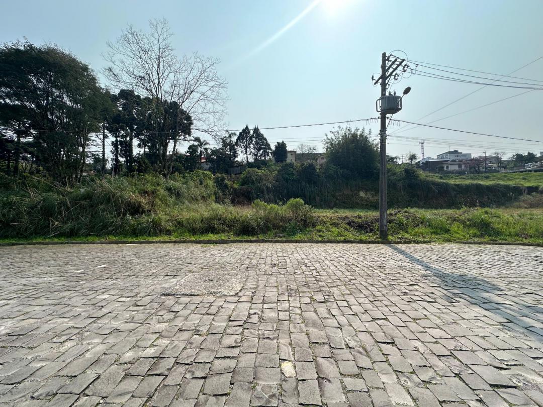 Banner Página
