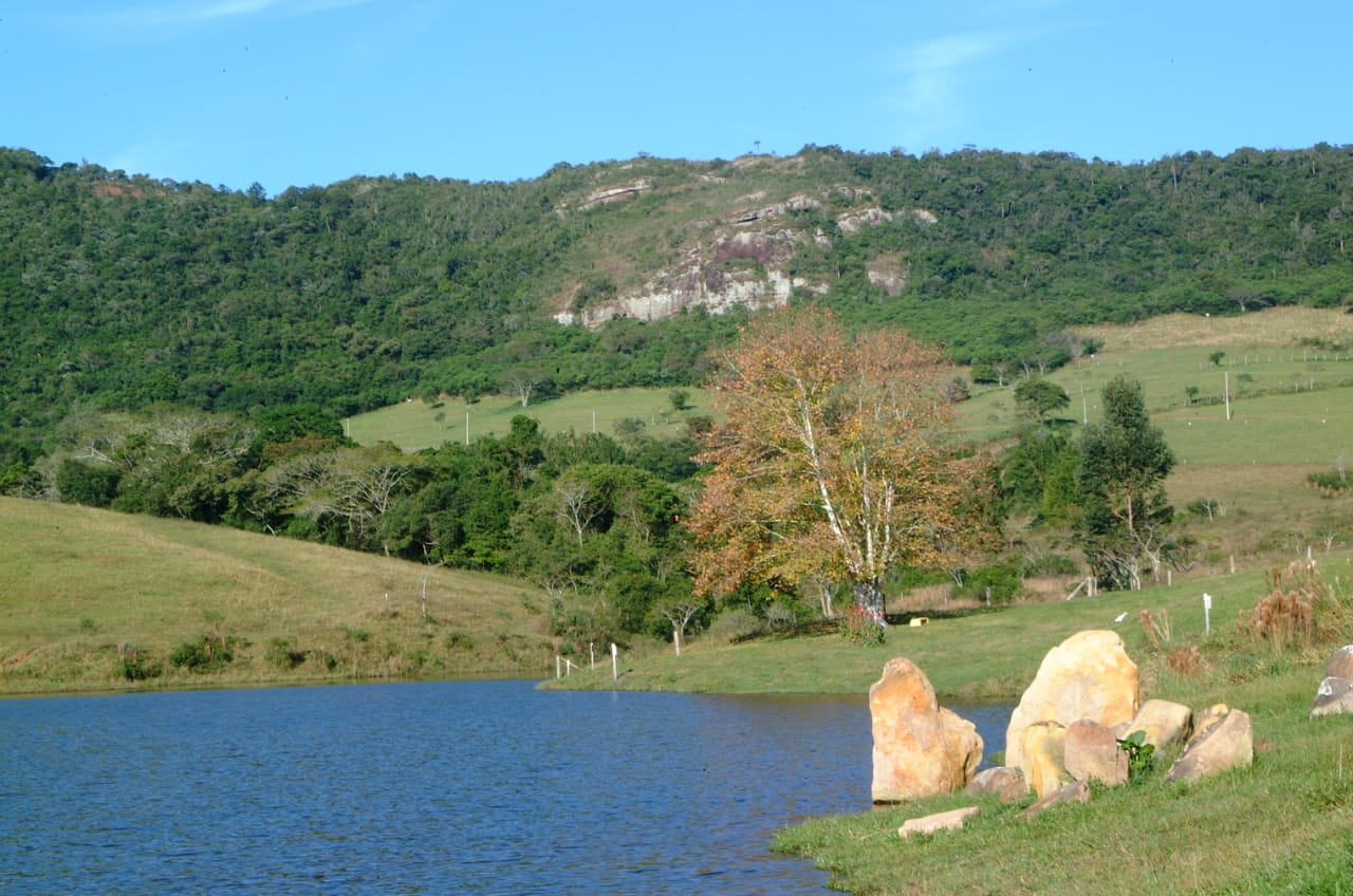 Banner Página
