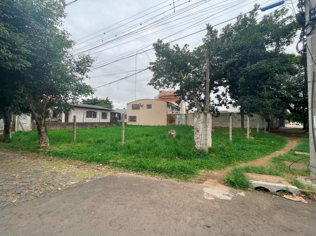 Banner Página