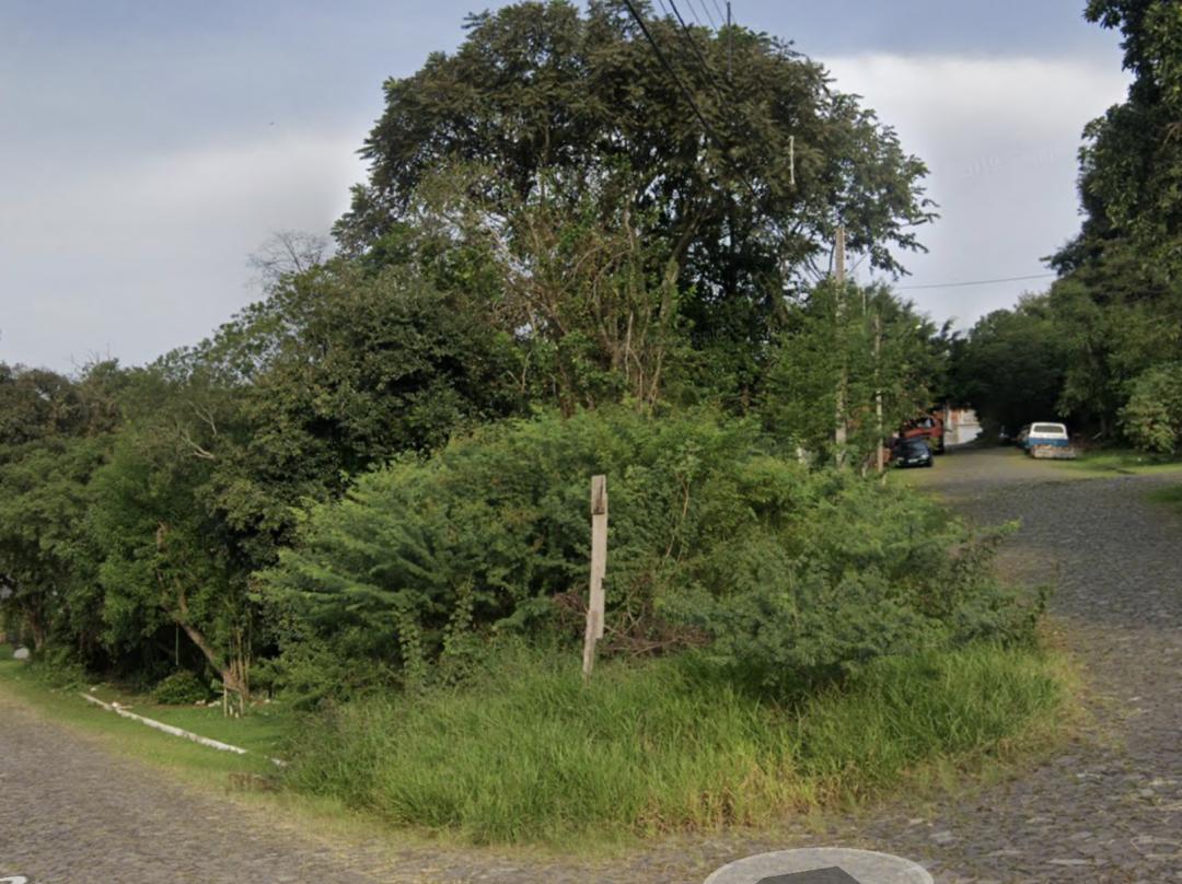 Banner Página