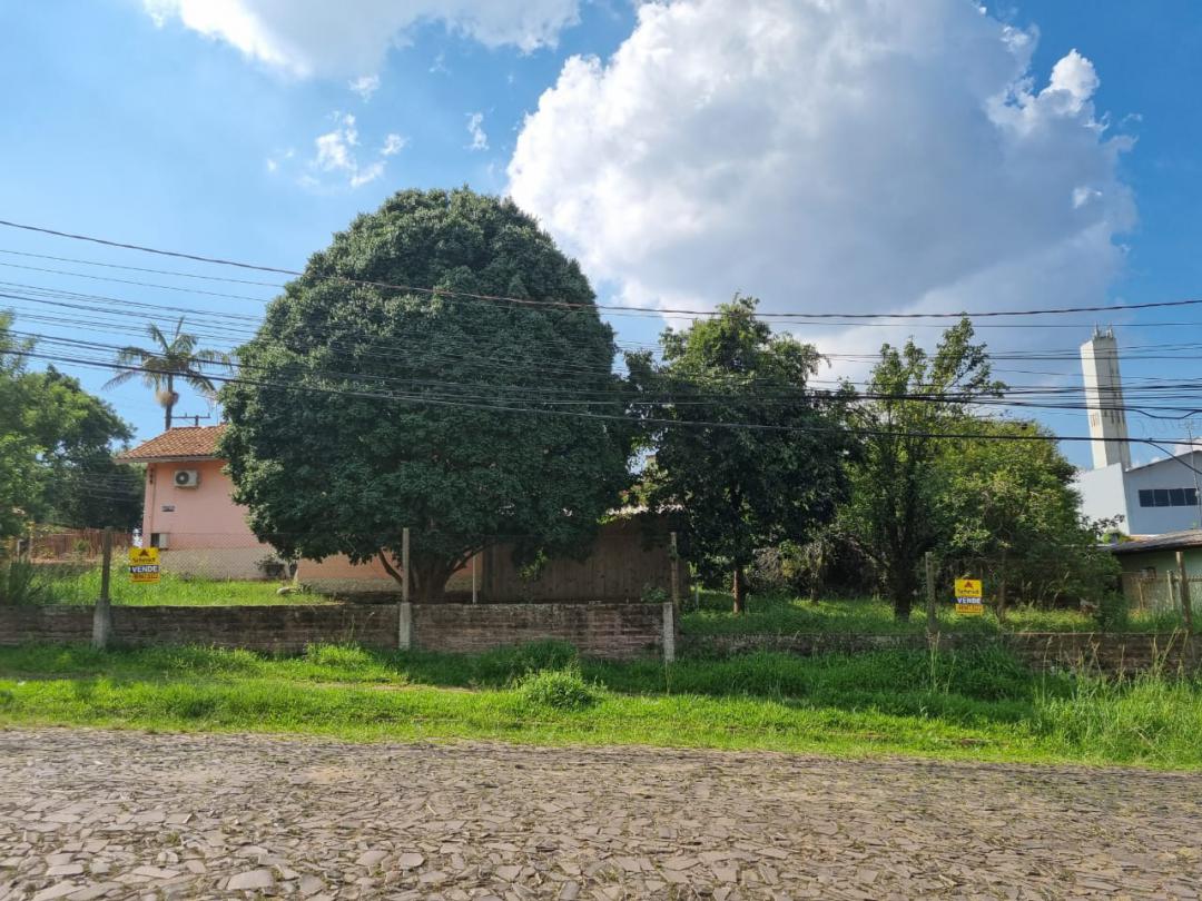 Banner Página