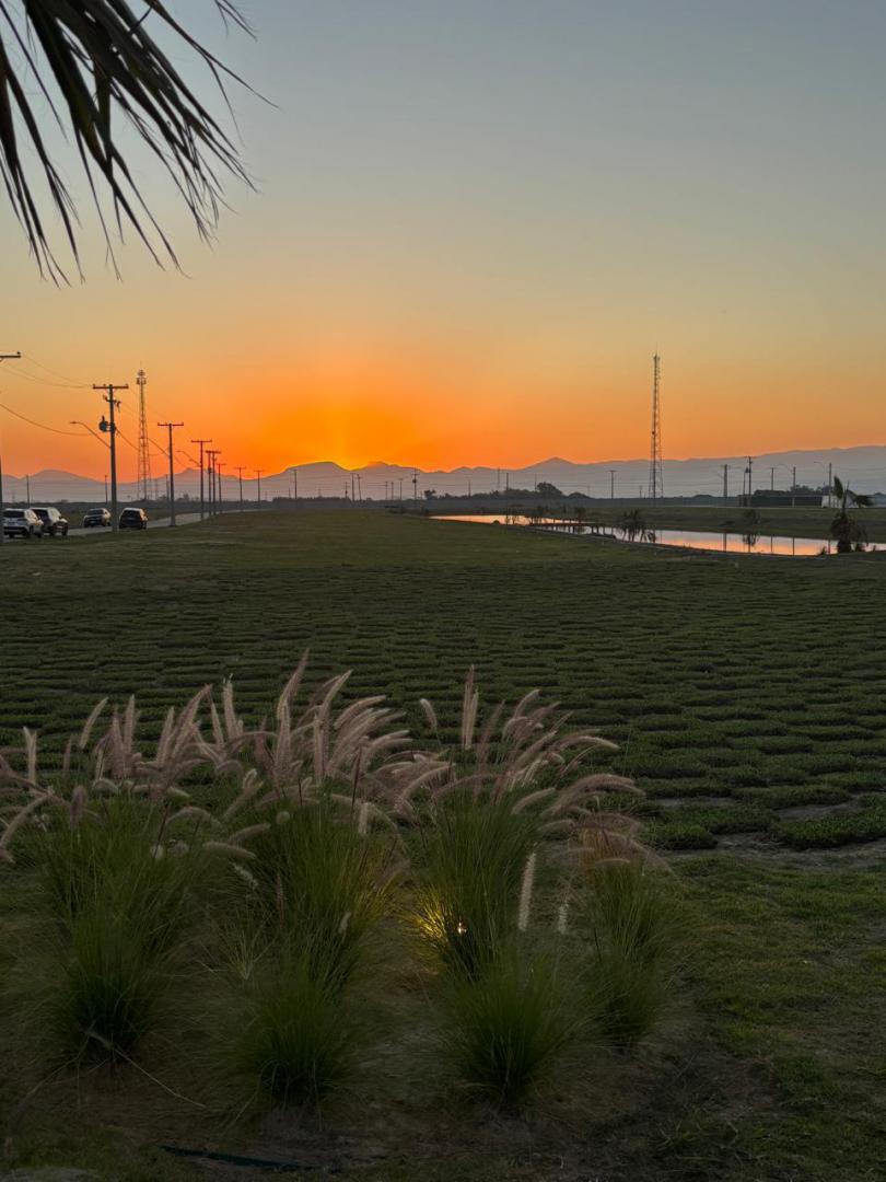 Banner Página