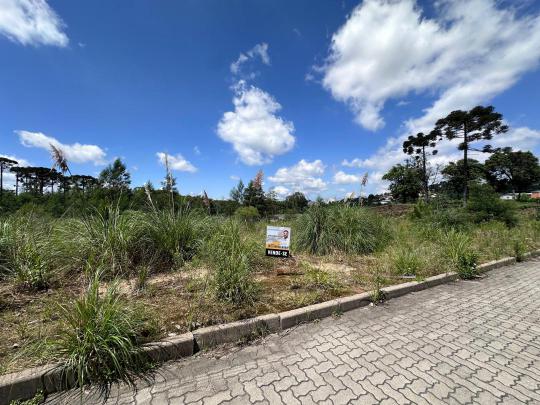 Terreno à venda no bairro Ana Rech, Caxias do Sul, Referencia: 1352