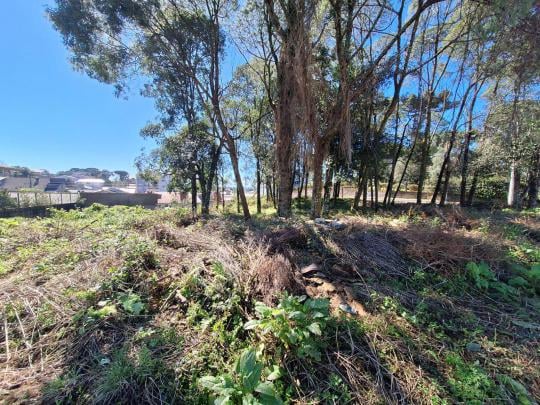 Terreno à venda no bairro Jardim Eldorado, Caxias do Sul, Referencia: TE01