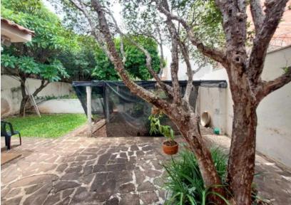 Casa - Sobrado à venda no bairro Centro, Ribeirão Preto, Referencia: 1013