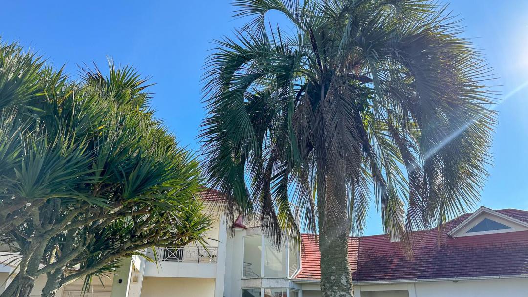 Foto de Casa · Green Village