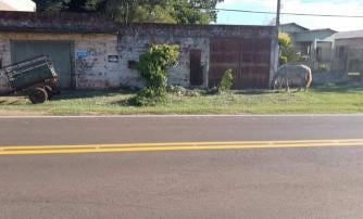Terreno à venda no bairro Noemia, Cachoeira do Sul, Referencia: 484