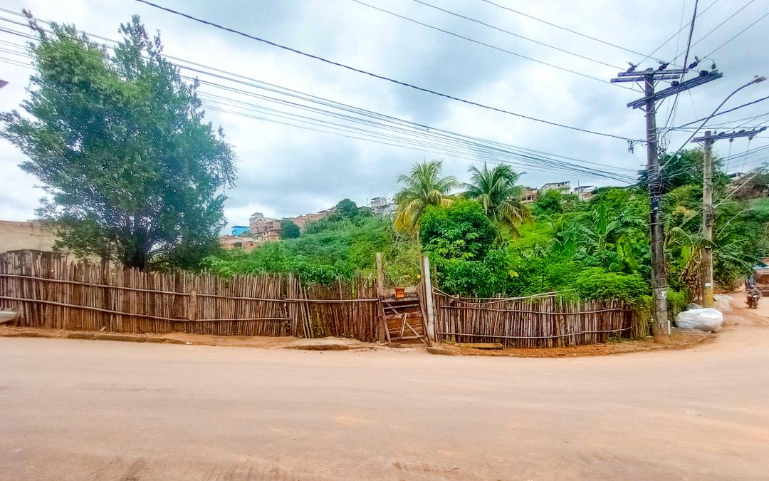 Banner Página
