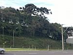 Terreno à venda no bairro Cinquentenário, Caxias do Sul, Referencia: 71009