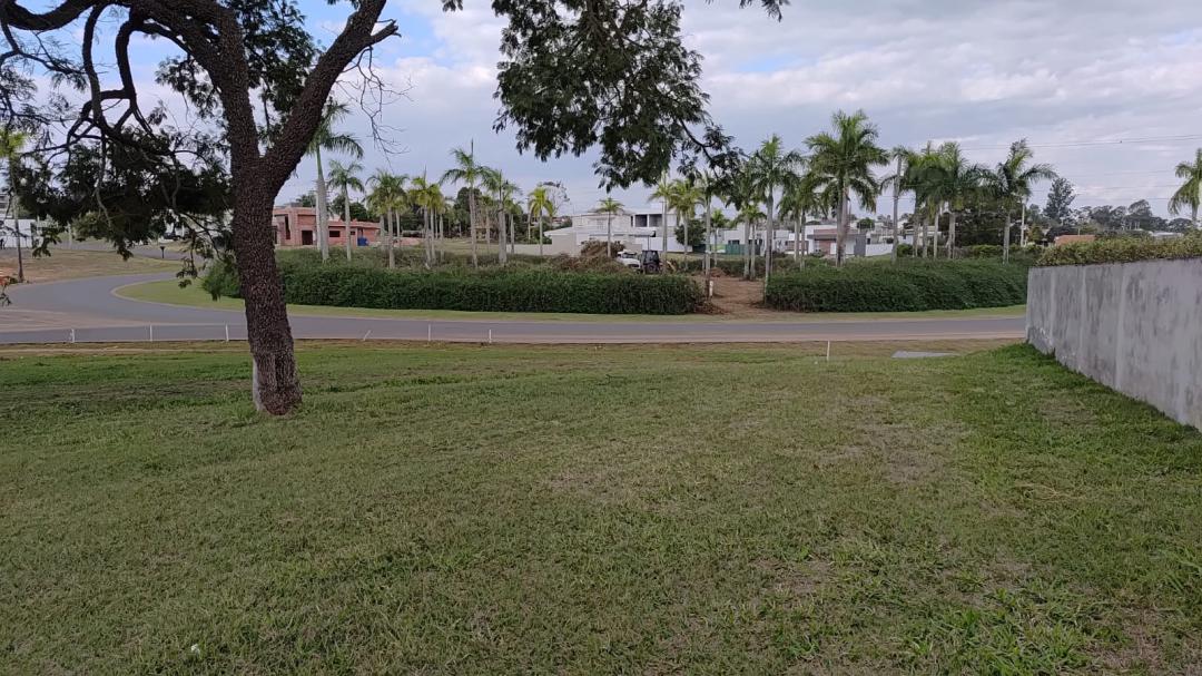 Banner Página