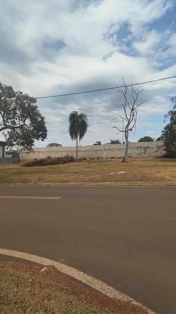 Banner Página