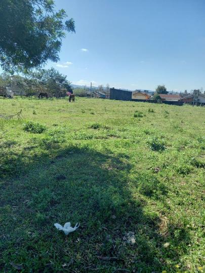 Terreno à venda no bairro Centro, Araricá, Referencia: TE0283