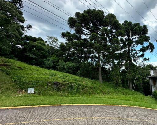 Terreno à venda no bairro Aspen Mountain, Gramado, Referencia: 1357