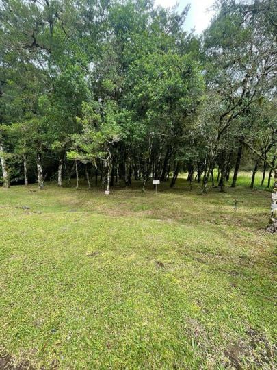 Terreno à venda no bairro Residencial Pinheiro Grosso, Canela, Referencia: 1553
