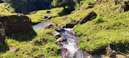 Terreno rural à venda no bairro Santa Filomena, São Pedro de Alcântara, Referencia: TR00015