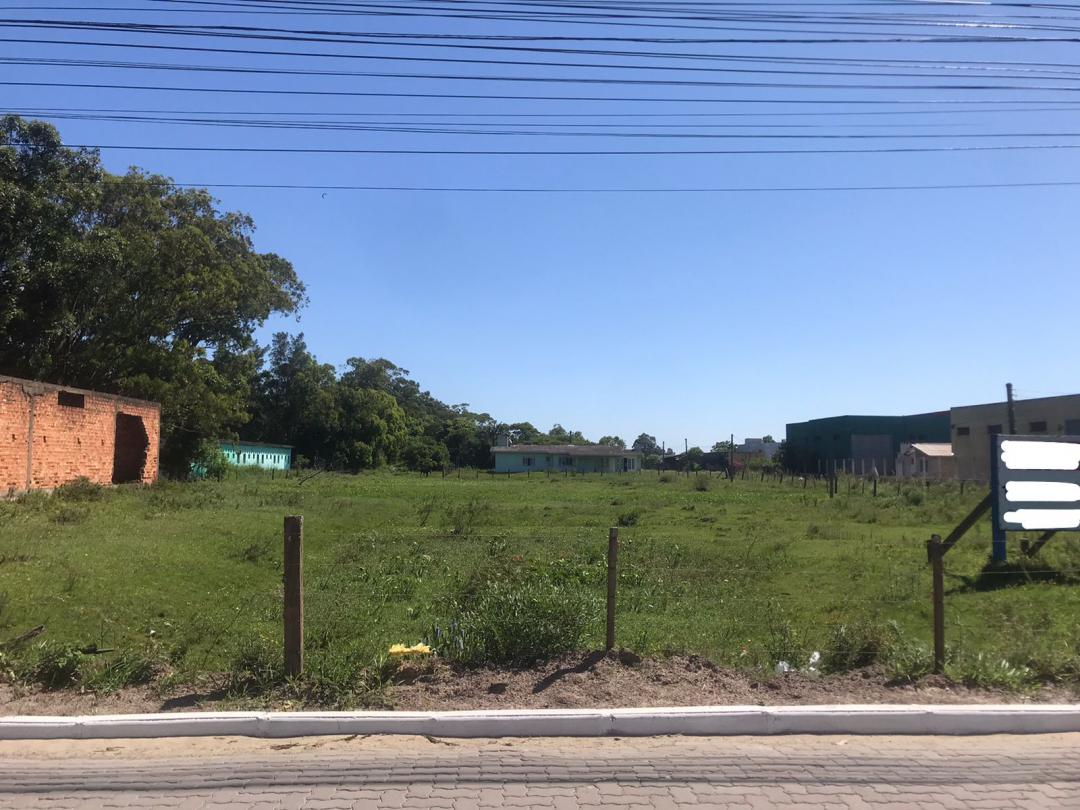 Banner Página