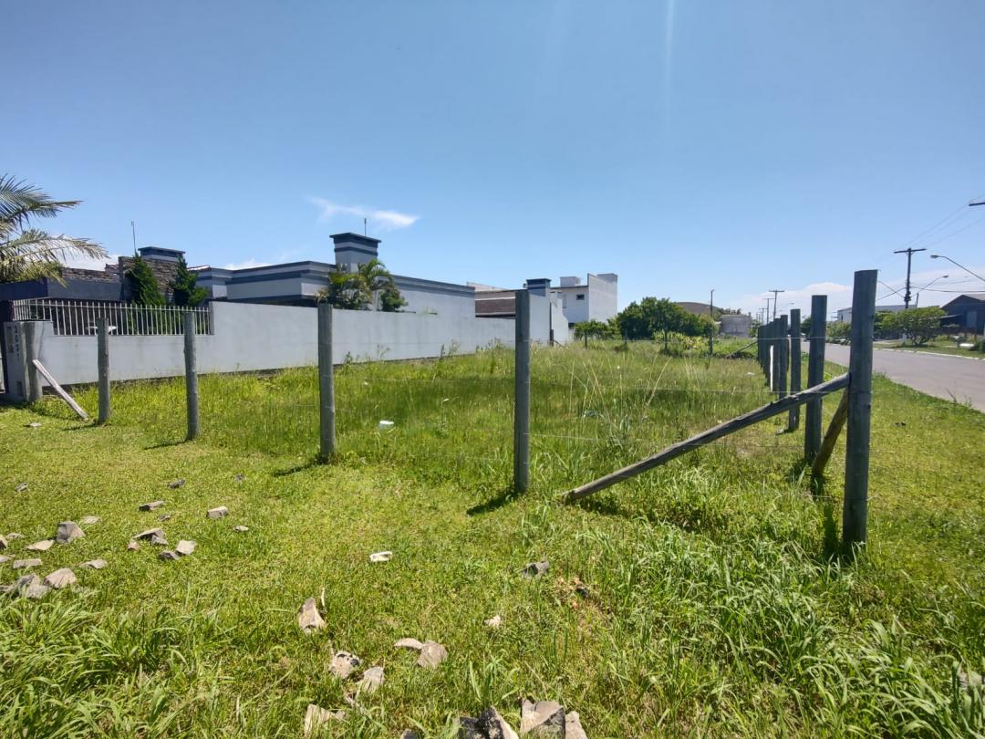 Banner Página