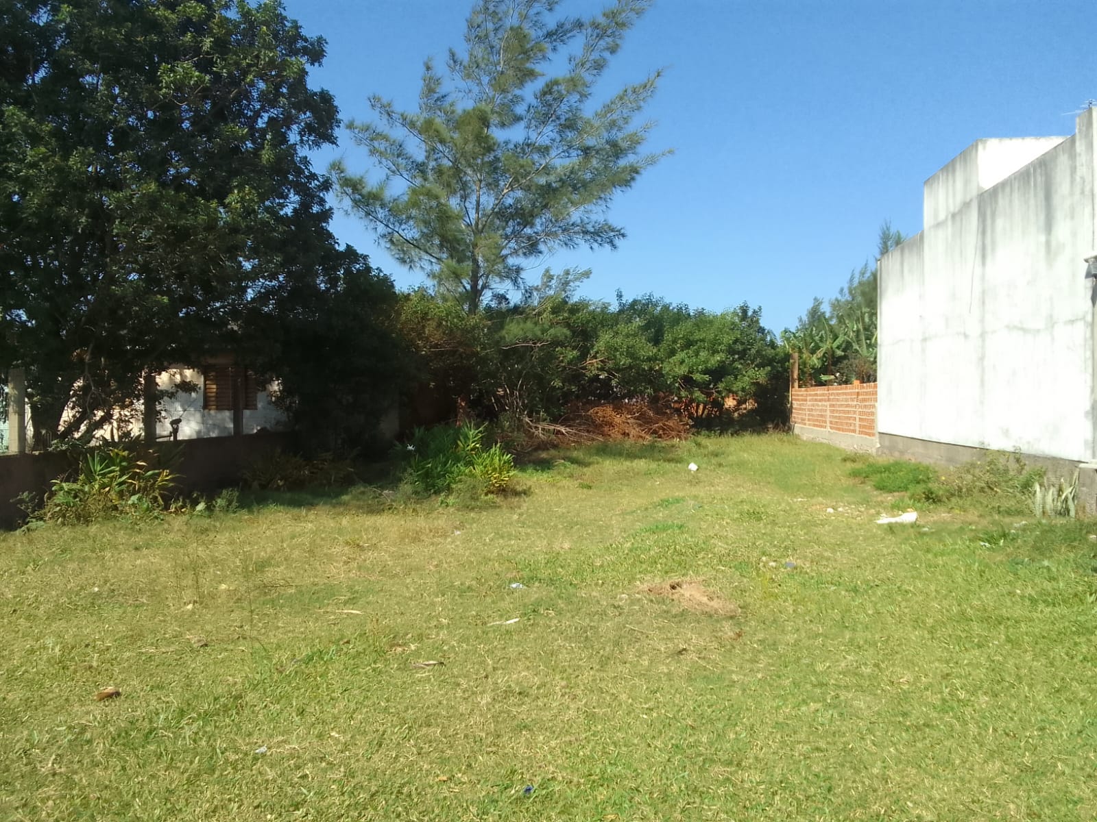 Banner Página