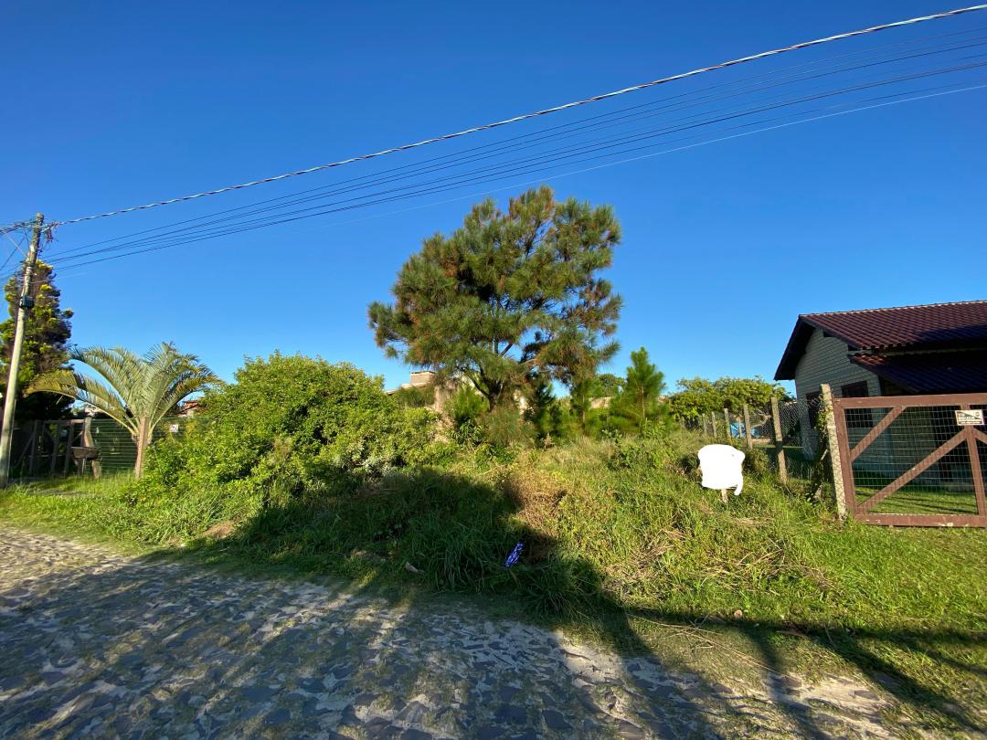 Banner Página