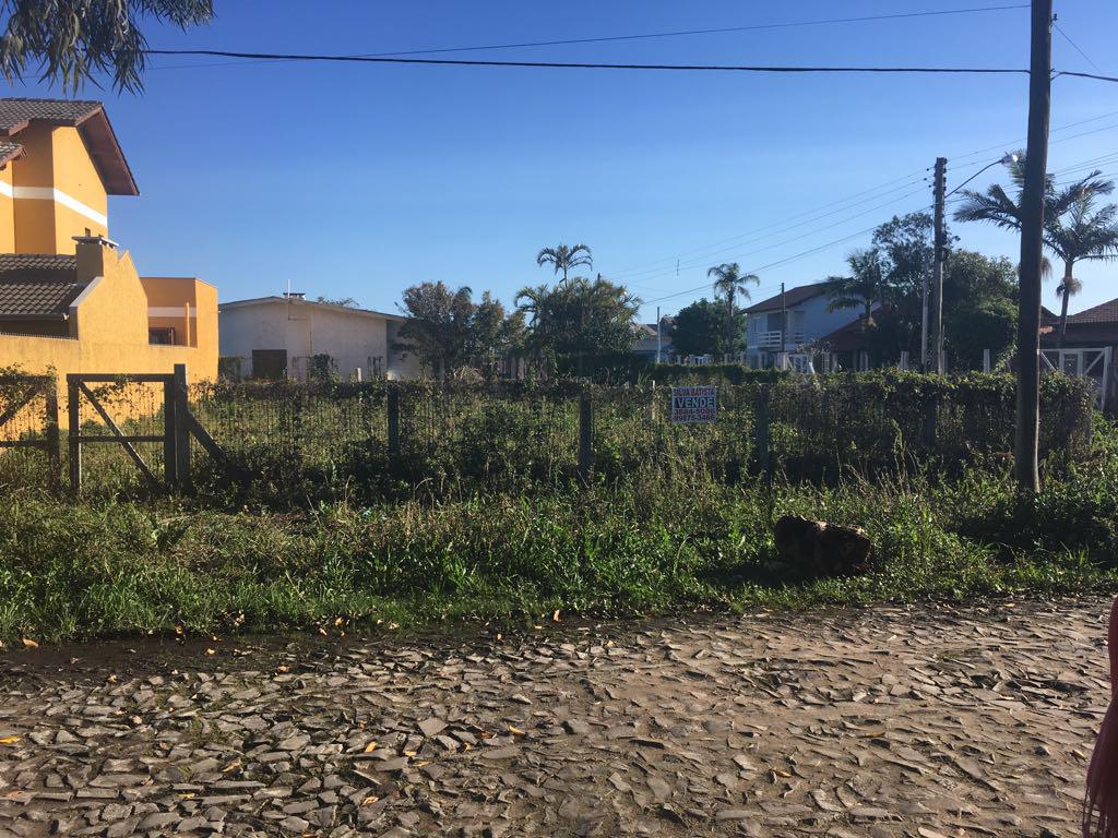 Banner Página