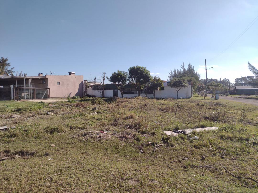 Banner Página