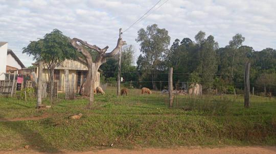 Terreno à venda no bairro Parque Xangrila, Cachoeira do Sul, Referencia: 166970