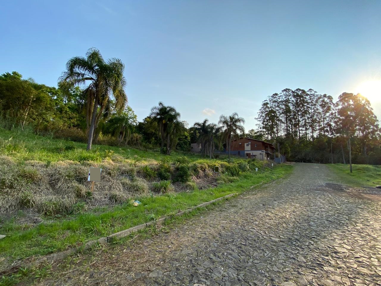 Banner Página