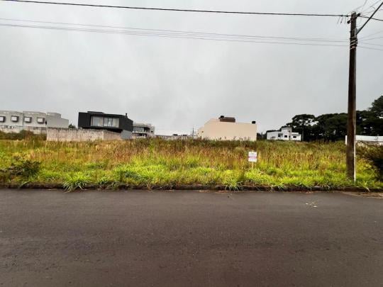 Terreno à venda no bairro São Virgilio, Caxias do Sul, Referencia: Te 855