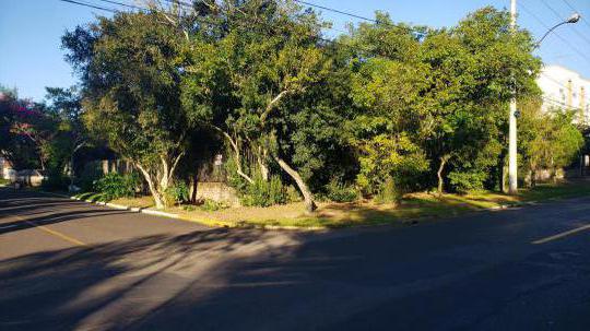 Terreno à venda no bairro Centro, Campo Bom, Referencia: 1133