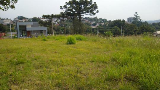 Terreno à venda no bairro Palmares, Ivoti, Referencia: 131926