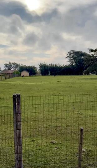 Terreno à venda no bairro CENTRO, IMBÉ, Referencia: 4694