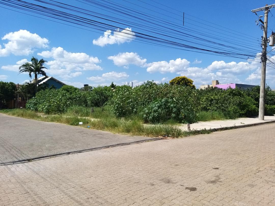 Banner Página