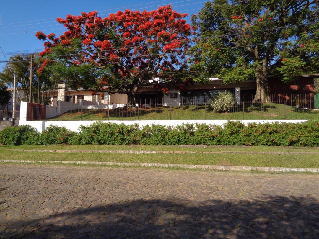 Banner Página
