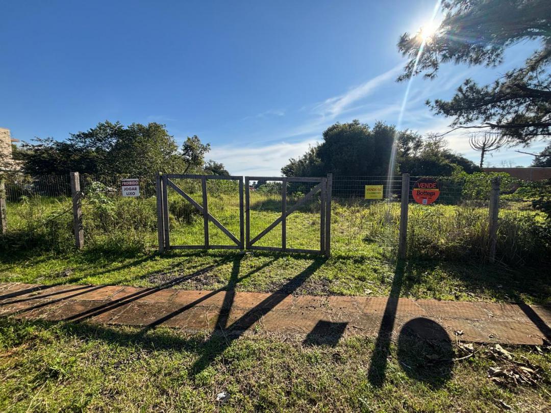 Banner Página