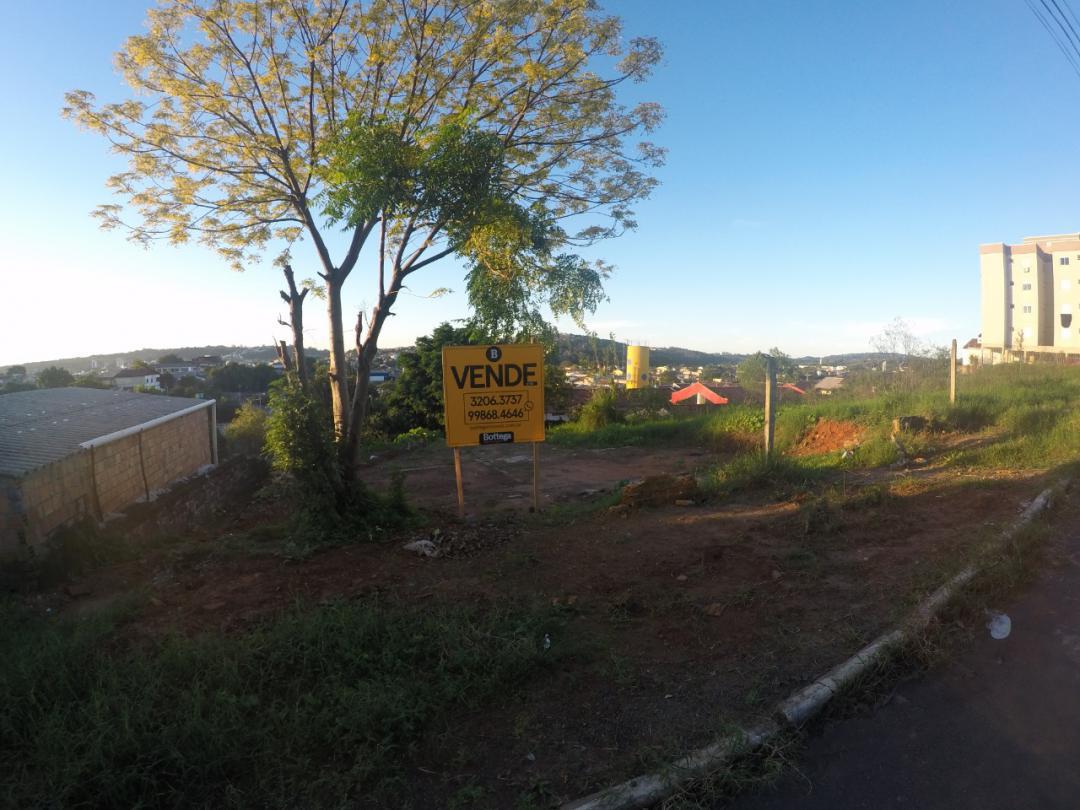 Banner Página